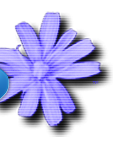 C64 Forever, powered by RetroPlatform
